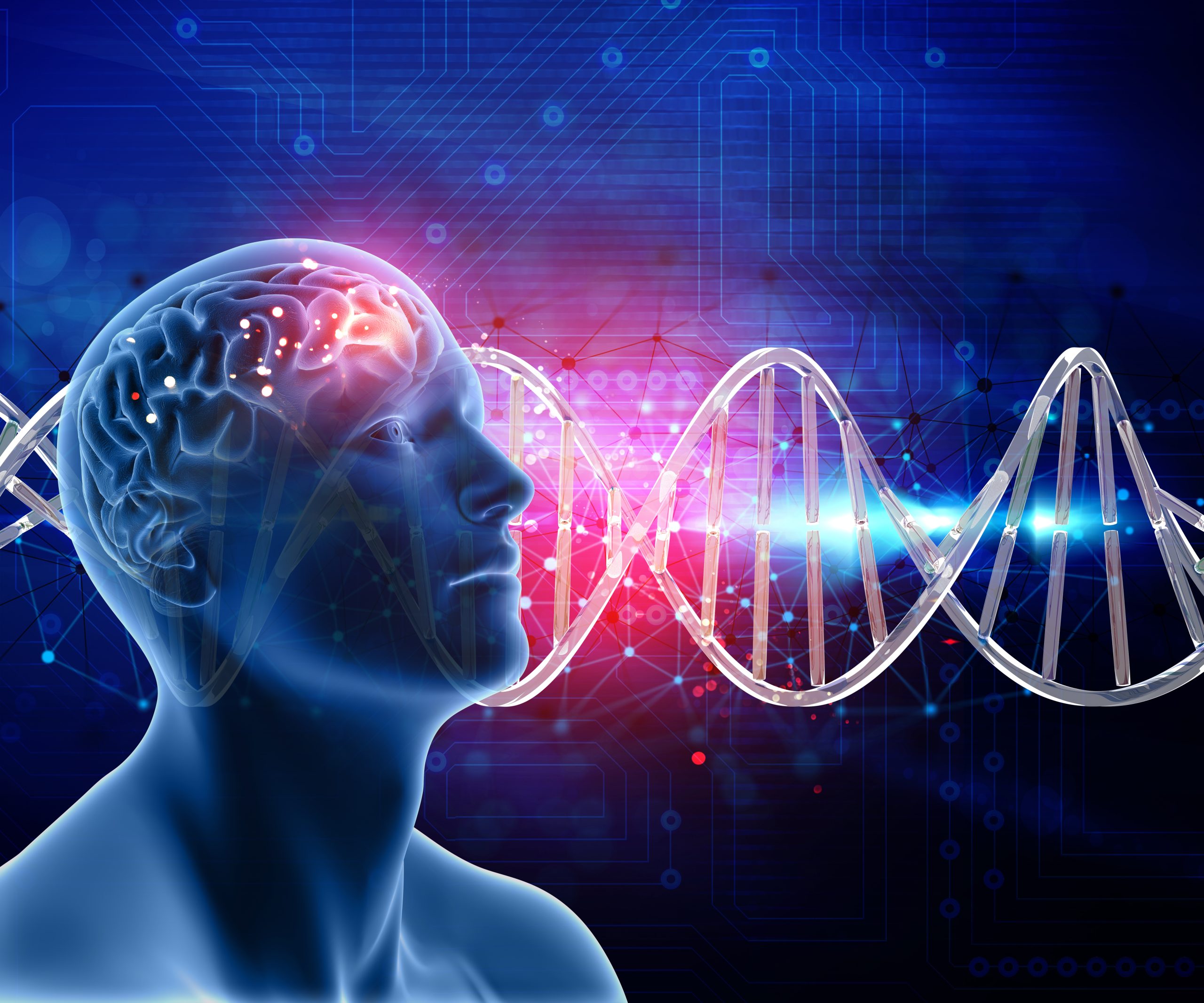 Neuroscienze e Quarto Cammino